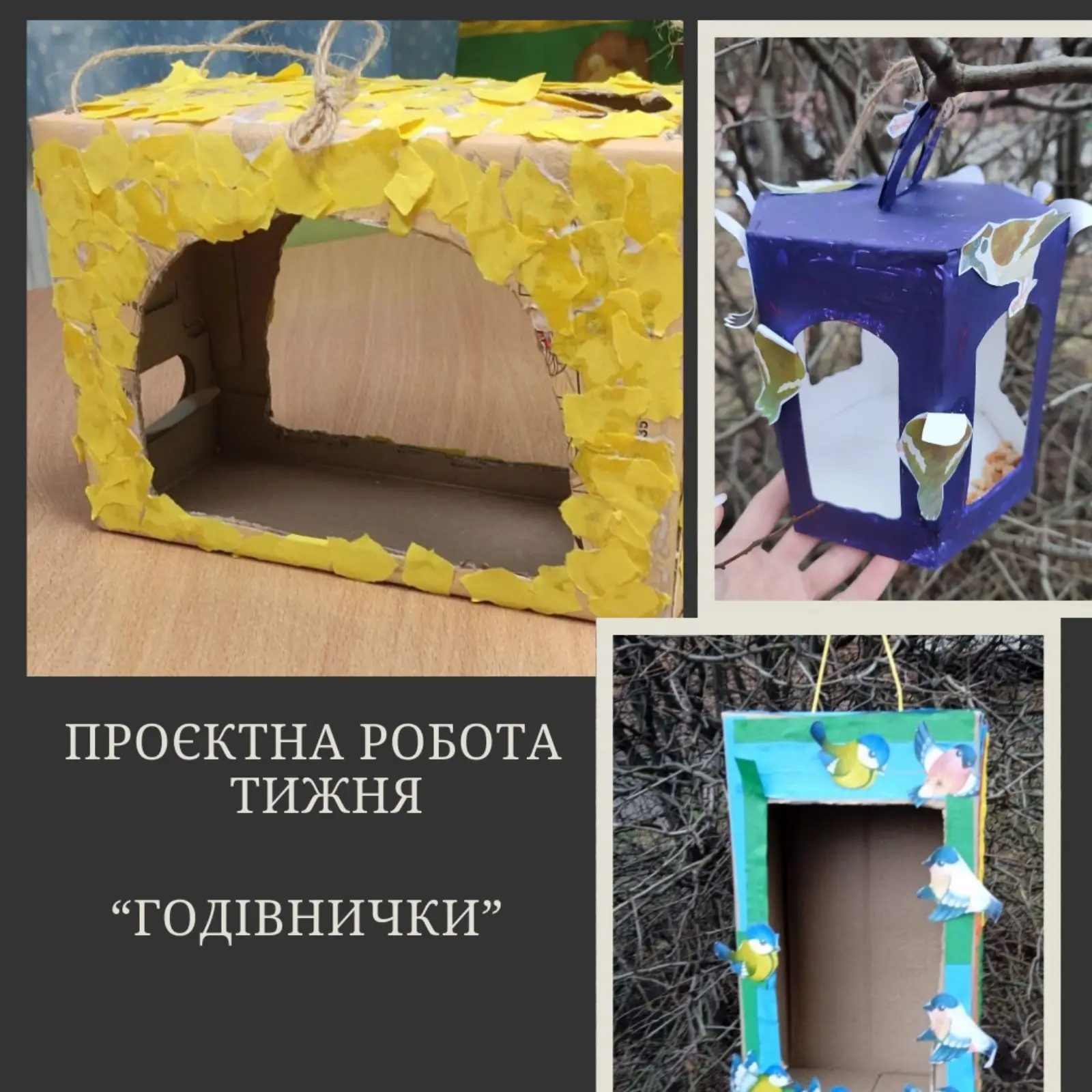 Цього тижня 📆 панпушенята вивчали зимуючих птахів🦉🐥